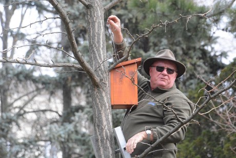 Új költőodúkat és denevérodút helyeztek ki a Zichy ligetben